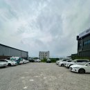 댕린이집 | 춘천 신상 애견 카페 춘천 동면 실내 실외 운동장 헤이댕댕 애견카페 내돈내산 솔직후기