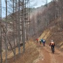인제군기린면북리보건진료소 | 자작나무숲] - 강원 인제군 회동마을 고개, 자작나무...내린터농원, 임도, 서리마을, 기린면행정복지센터