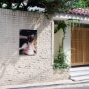피엘