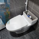 효자벽산아파트경로당 | [의정부 변기수리] 신곡동 효자벽산아파트 물 안멈춤 고장 원피스 변기부속교체