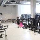 데일리프로젝트 피트니스 이미지