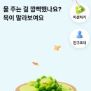 돈나무 | 케이뱅크 돈나무 키우기 실제 수익 후기 (+하루 1분 앱테크)