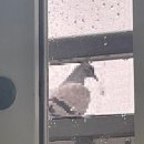 도훈농장 이미지