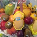 새란산부인과의원 이미지