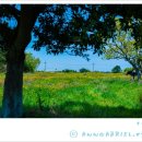 송원목장 이미지