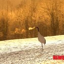 록산(綠山) 이미지