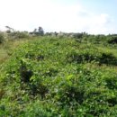 시흥리마을회관 이미지