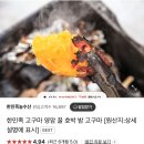 밤고구마 3kg 6900원이예요 이미지