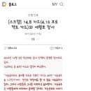 세월호 한국 일루미나티 카드 예언 이미지