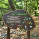 운산 아래 구름 | 구름산산림욕장(光明)