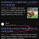 브라질산 닭 에서 맹독성 , 뉴캐슬병 검출 feat.위염, 췌장암 이미지