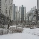 대전시 서구 도안동 도안 계룡리슈빌 아파트 겨울 조경 이미지