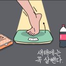 내가살뺀점핑다이어트