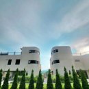 스테이 쉬온 이미지