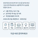 포토리딩 성인 1:1 원격수업