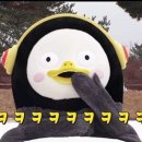 상보안 이미지