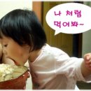 밥이보약 이미지