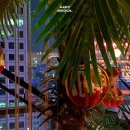 디어스명동 이미지