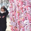 시청별관앞 꽃보라동산 이미지