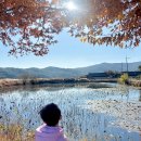 남산경로당 | 겨울 경주 가볼만한곳 숨은명소 양피저수지 가족여행 데이트