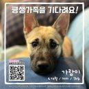 가람/여아/4개월 이미지