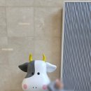 서울우유협동조합거창공장 | 서울우유 거창 공장 예약 방법 및 후기