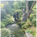 제주밥상 이미지