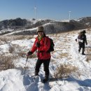 하얀운동화 이미지