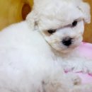 영지메디컬 이미지