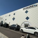 11260-3-64-19 | <육아> 어린이집 방학 중 시흥해양생태과학관 방문 후기🐠🐢