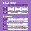 앨리스소풍