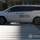 타다 일간스포츠