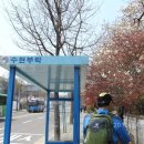 황제카센타 이미지