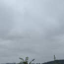 웨일로 서울김포공항점 | 늦가을맞이 서울도심 글램핑 (웨일로 서울김포공항점 /내돈내산 후기)