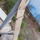 호동바닷가가든 이미지