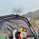 NR-3[동내로]-하-1 | [연천] 내돈내산 애견 동반 캠핑장 대형견 가능 아미힐캠핑장 A3사이트