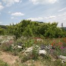 기화농장 이미지