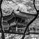 산사가는길 이미지