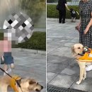 소리질러 이미지