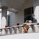 치악산모텔 이미지