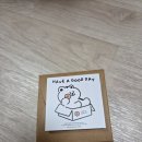 락피시방 | 251117-1123 일상