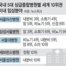 2024년 9월 20일 금요일 , 신문을 통해서 알게 된 것들 이미지