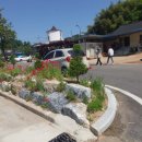 도화리마을 이미지