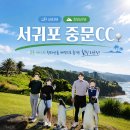 ⛳ 제주 골프여행 서귀포 중문 CC 골프 라운드 후기 한라산 바다뷰