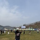 합천공설운동장 축구장 | 2026 합천 벚꽃 마라톤 5K 완주 후기! 초보 러너🏃‍♀️