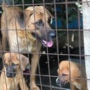 계양산목장 이미지