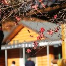 주막거리 이미지