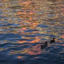 벨라지오호텔 이미지