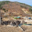 성진자연펜션 이미지