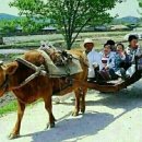 풍경(風景) 이미지